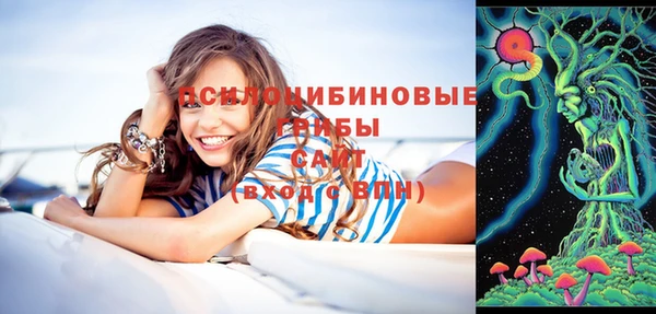 a pvp Зерноград