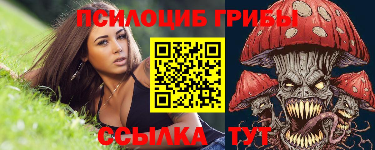 Псилоцибиновые грибы Cubensis Когалым