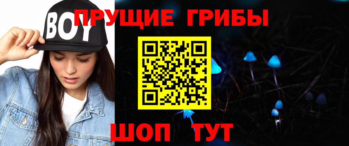 Когалым  Галлюциногенные грибы прущие грибы  Вход с VPN 
